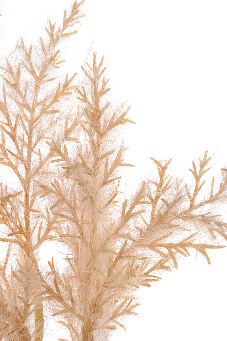 50.5" Artificial Pampas Grass Spray Beige