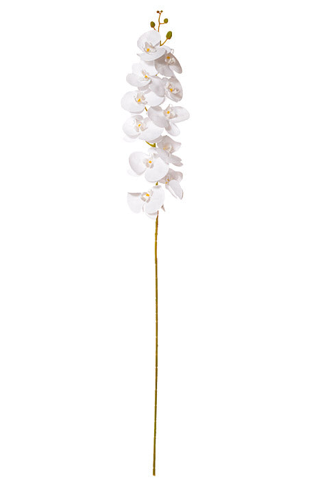 45" Silk Phalaenopsis Spray White