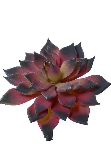 3.5" Artificial Mini Echeveria Cactus Burgundy/green