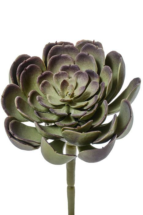 4" Artificial Echeveria Pick Green/burgundy