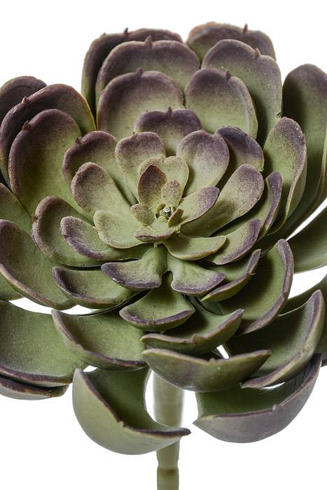 4" Artificial Echeveria Pick Green/burgundy