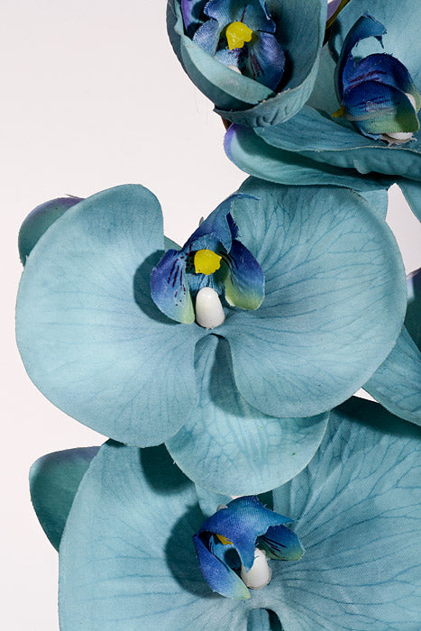 39.5" Silk Phalaenopsis Spray Aqua Sage