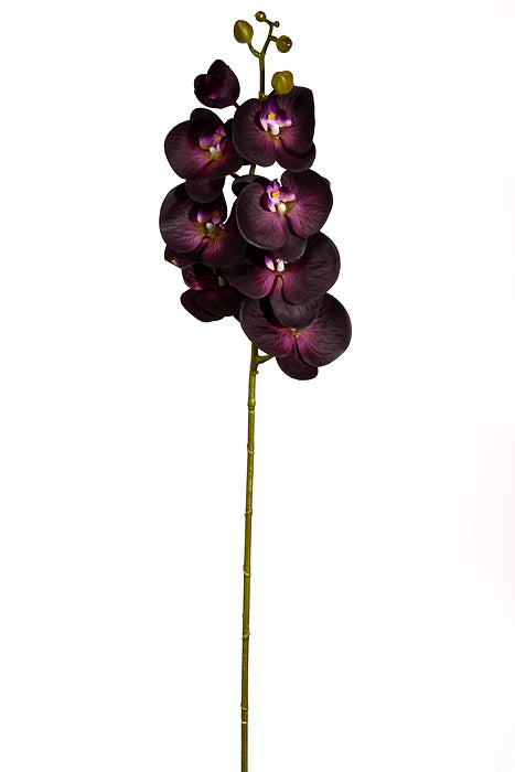 39.5" Silk Phalaenopsis Spray Plum