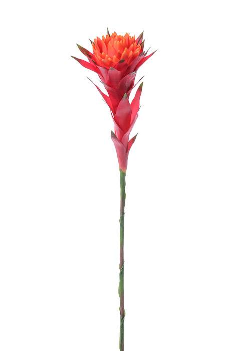 37" African Bromeliad Spray Flame Red