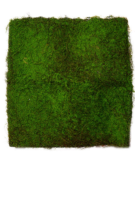 40" Moss Twig Mat Green