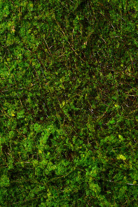 40" Moss Twig Mat Green