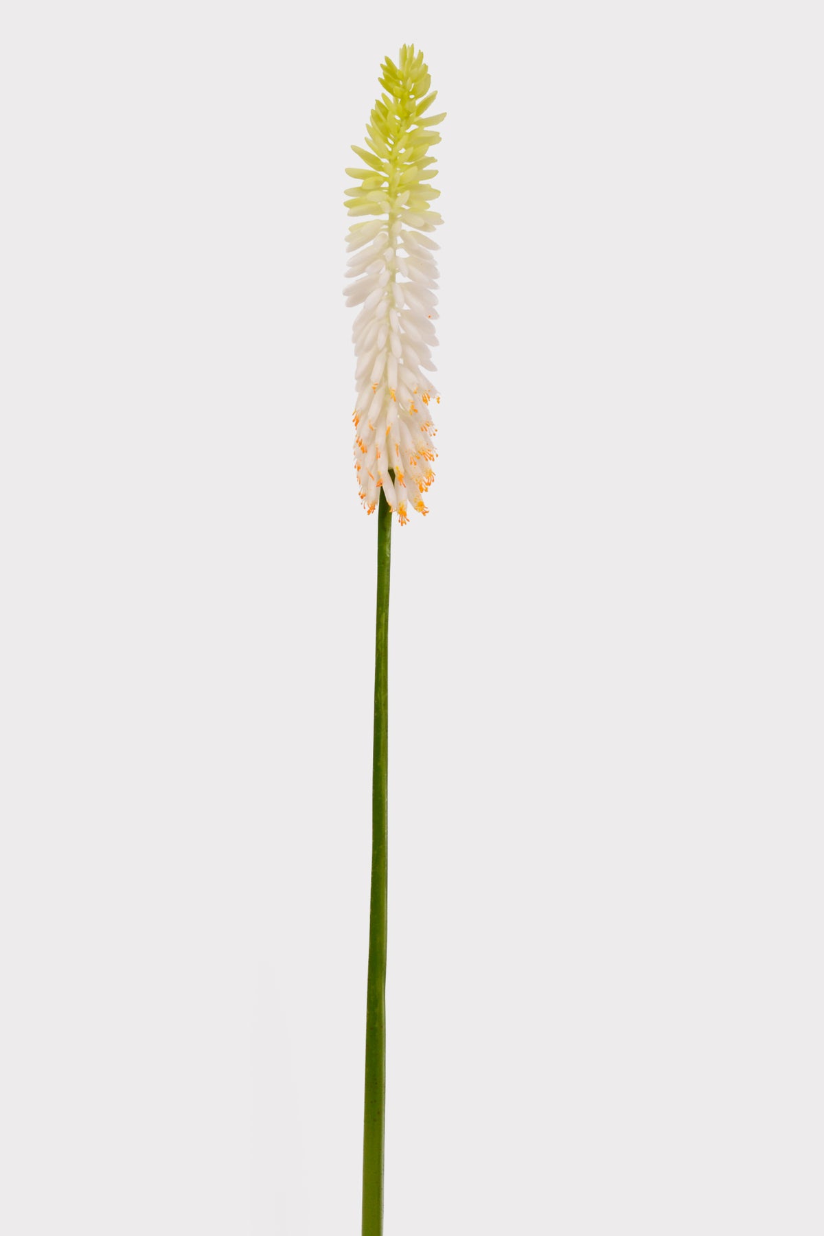 33" Artificial Aloe Vera Flower White