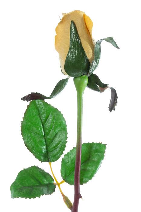 23" Planters Rose Bud Saffron Pkg/12