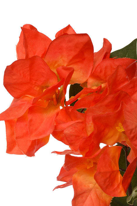 47" Bougainvillea Spray Orange