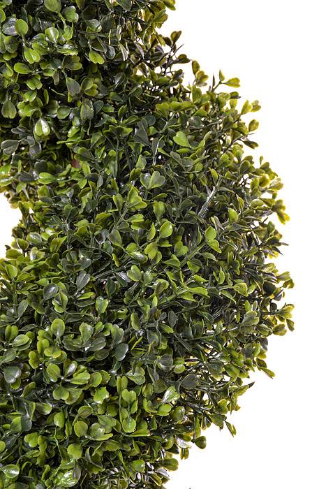 5Ft Pond Boxwood Spiral Topiary in a Pot Green