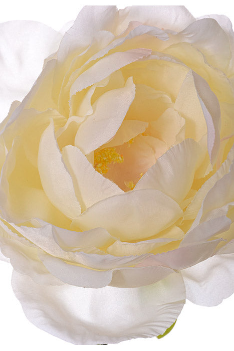 19" Silk Peony Spray Cream/Blush