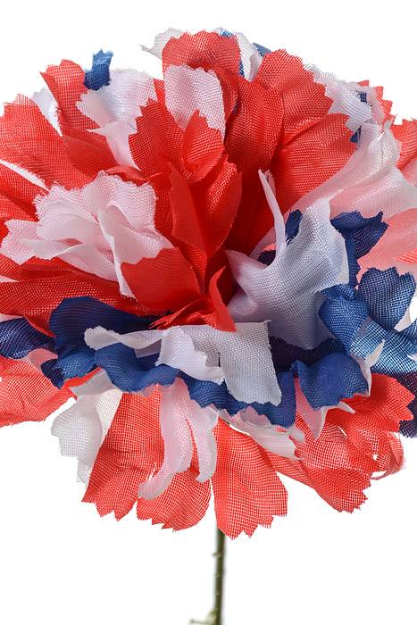 7" Carnation Pick Tricolor Pkg/100