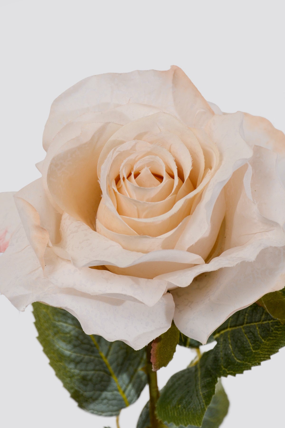 24" Silk Rose Spray Cream