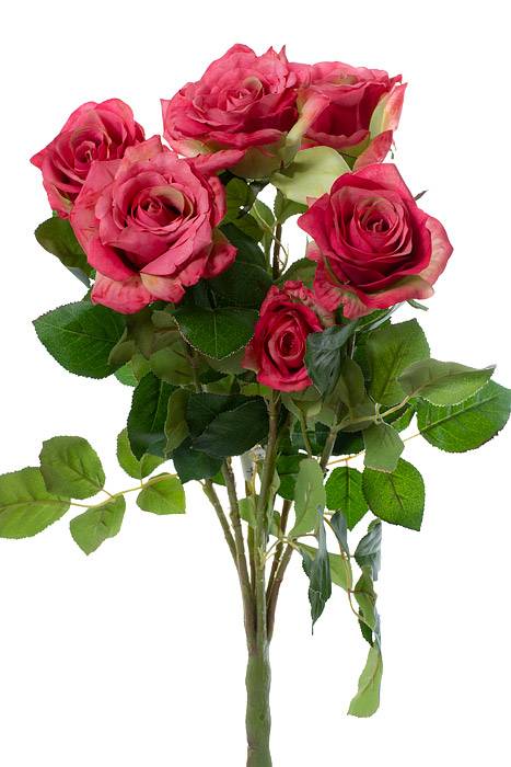 21.5" Confetti Rose Bush X7 Rose