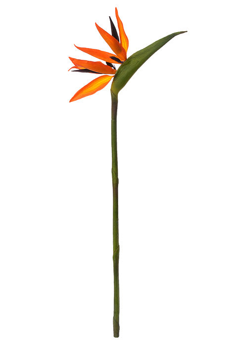 33" Bird Of Paradise Spray Orange