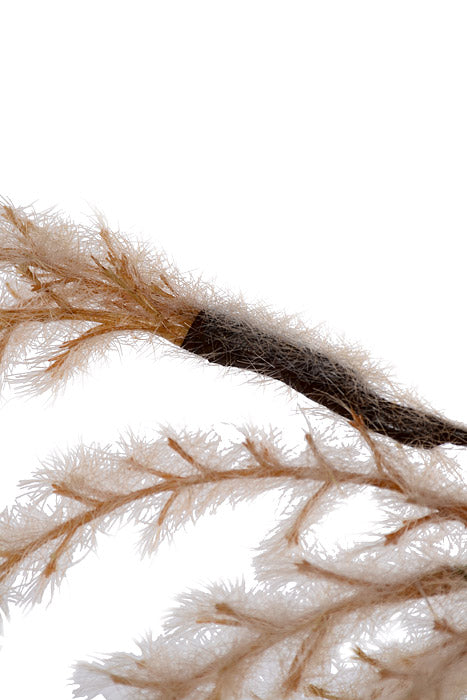 42" Trailing Pampas Grass Spray Light Brown