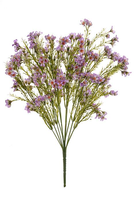 19" Waxflowers Bush Lavender