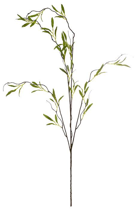 47" Willow Branch Green