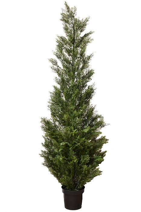 84" Cedar Topiary in a Pot Green