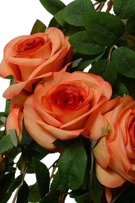 33.5" Rose Hanging Bush Orange