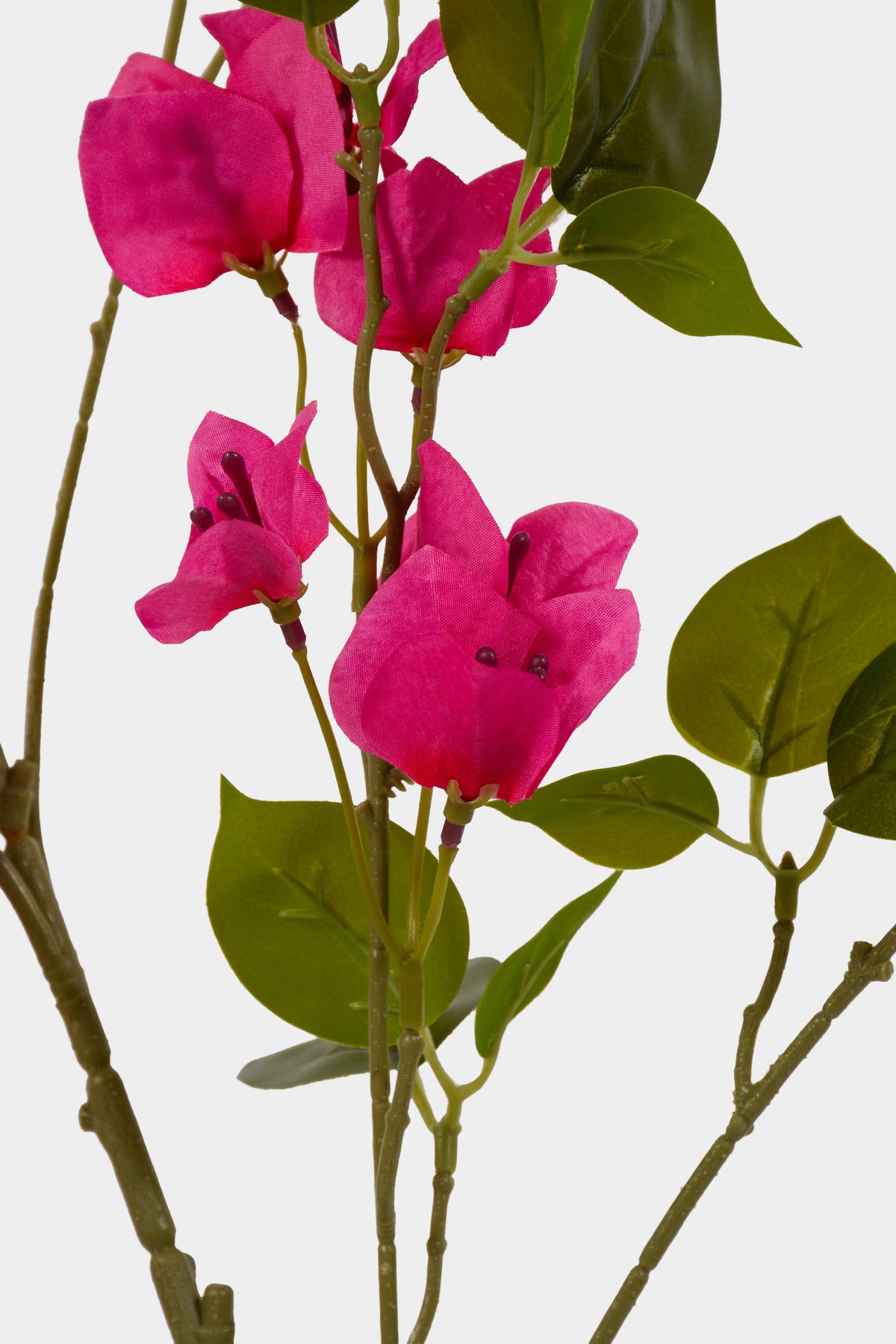 43" Silk Wisteria Spray Fuchsia