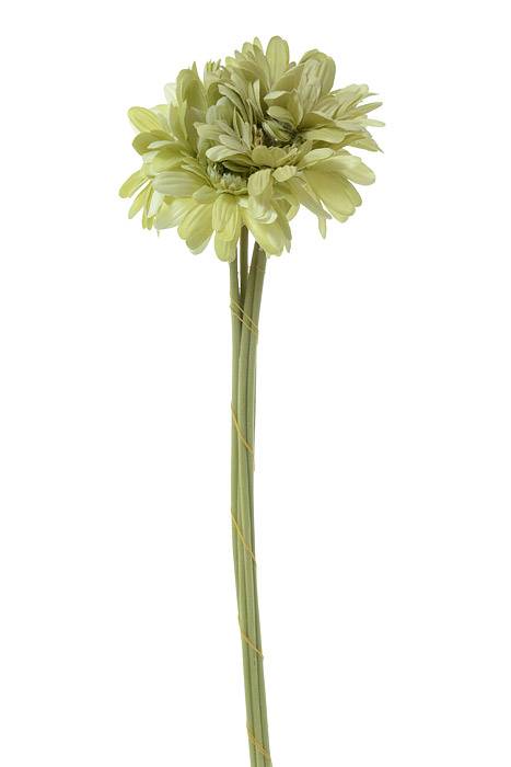 21" Silk Gerbera Daisy Spray Light Green Pkg/6