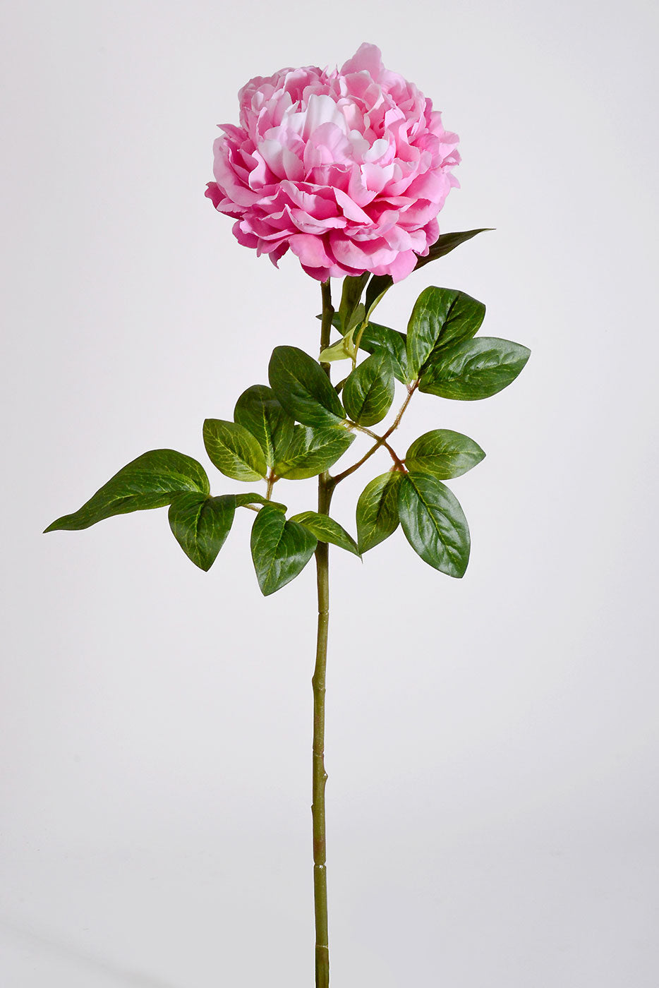 28" Silk Single Peony Dark Pink