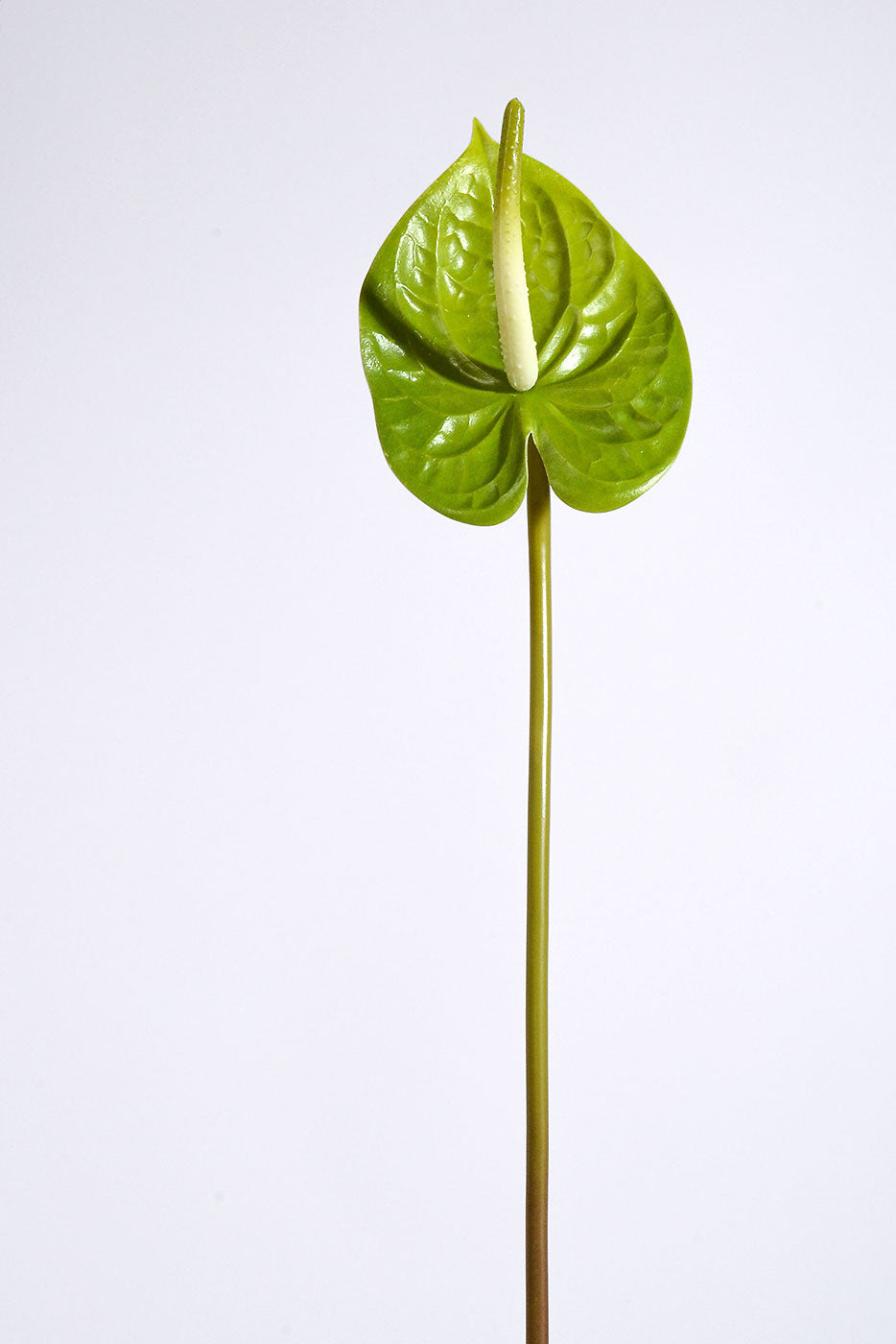 21" Artificial Anthurium Spray Green