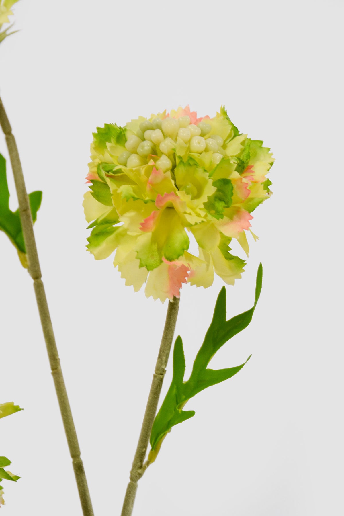 22" Silk Scabiosa Spray Green