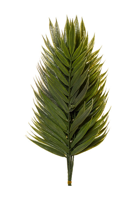 13" Emerald Fern Green Pkg/144