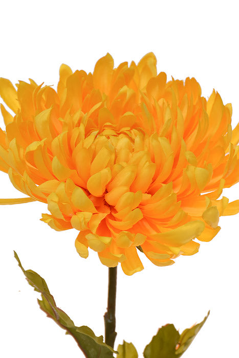 33" Silk Large Mum Spray Yellow/Gold