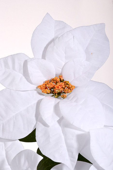 31" Velvet Poinsettia Spray White