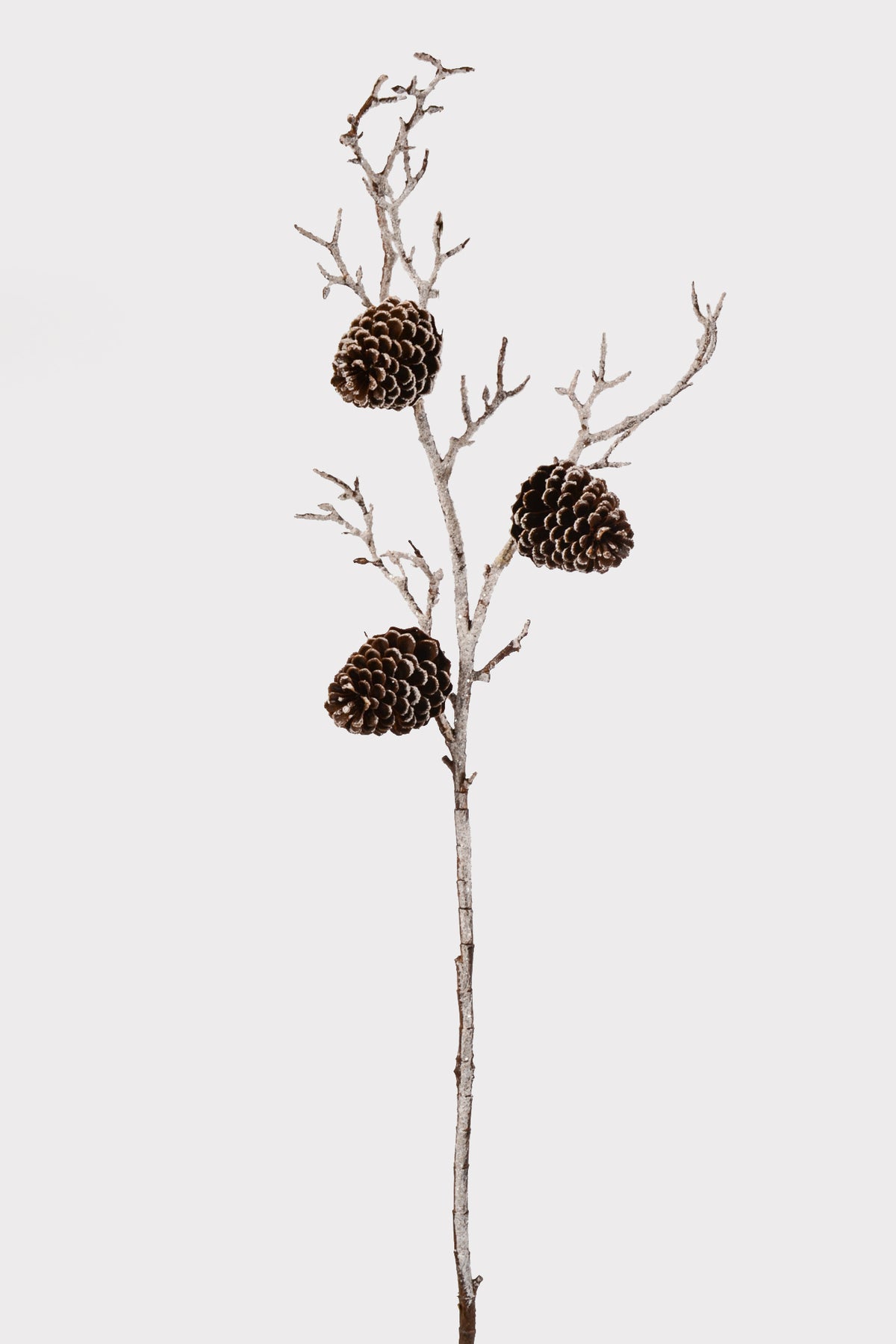 43.5" Snowed Plastic Pinecone Branch Brown/White