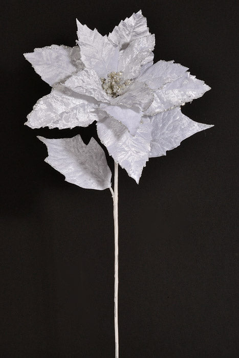 23" Velvet Poinsettia with Glitter Stem White