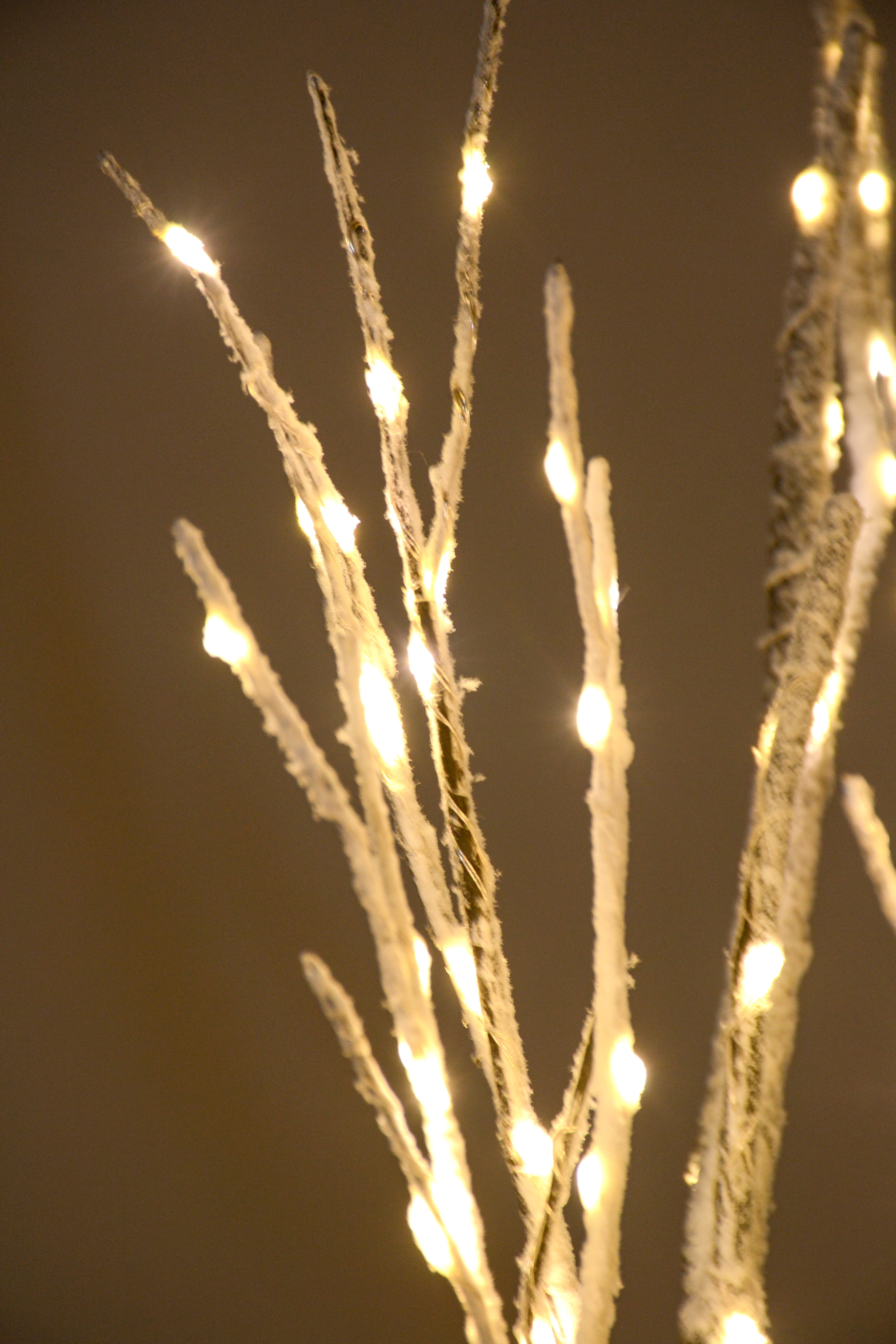 4Ft Birch Tree W/Light White