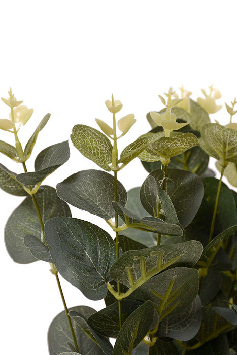 19" Eucalyptus Bush Green