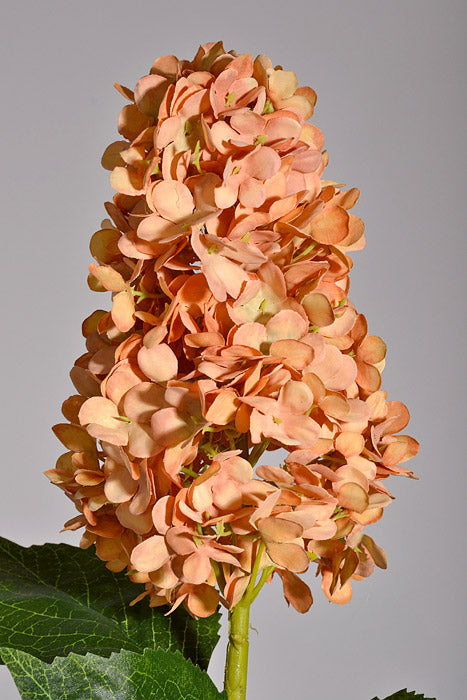 31.5" Silk Hydrangea Spray Caramel