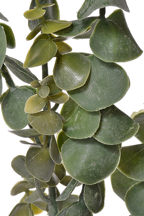 34" Eucalyptus Spray Green