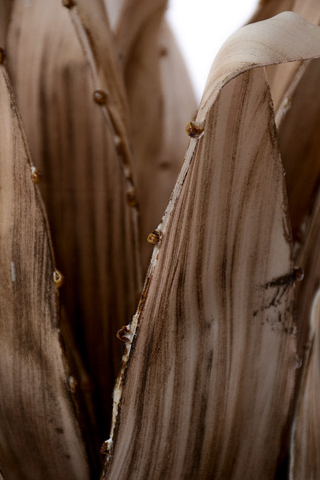 41" Yucca Stem Brown