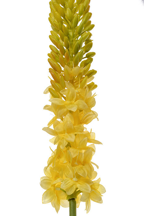 44" Foxtail Lily Spray Yellow/Green