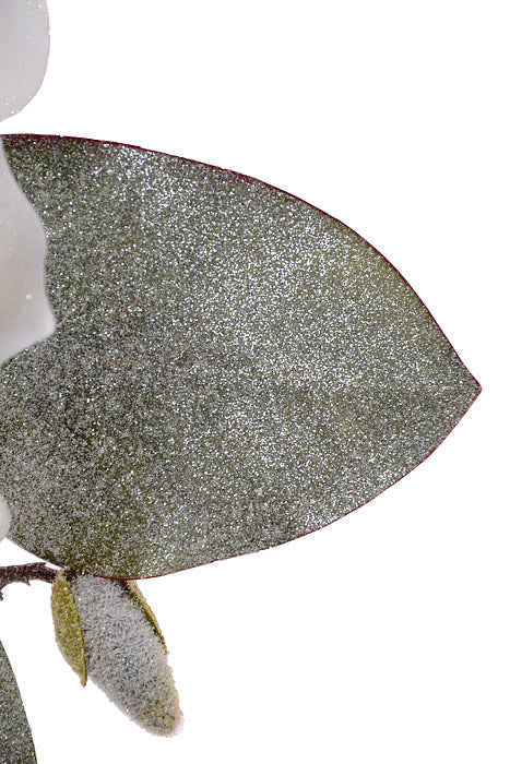 25" Glitter Magnolia Berry Spray White