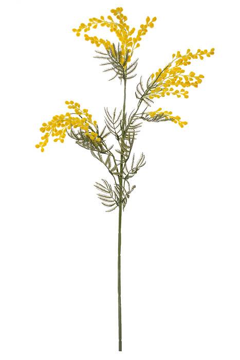34.5" Mimosa Spray Yellow