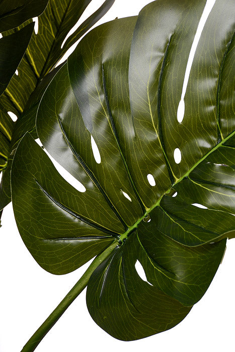 78" Monstera Leaf Tree In Pot Green