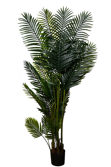 78" Areca Palm Tree In Plastic Pot Green