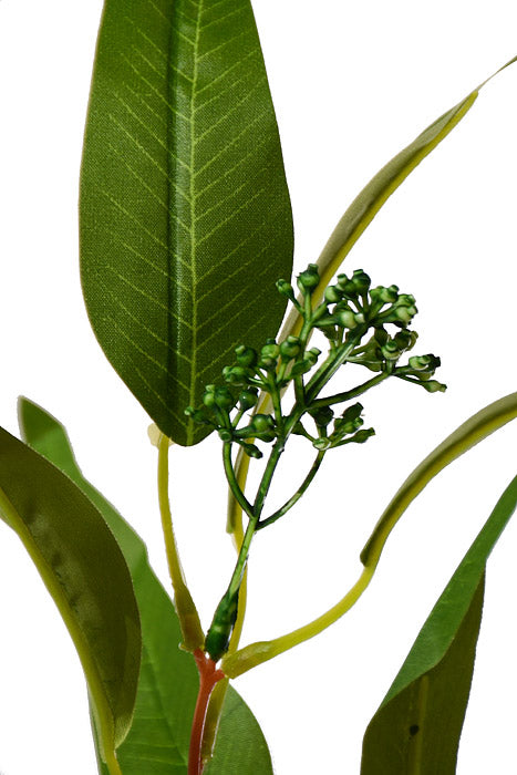 34.5" Willow Eucalyptus Spray Green