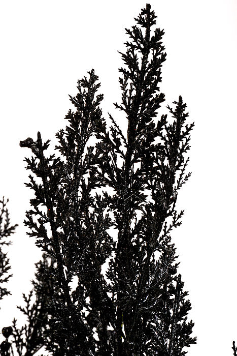 19" Cypress with Glitter Bush Black