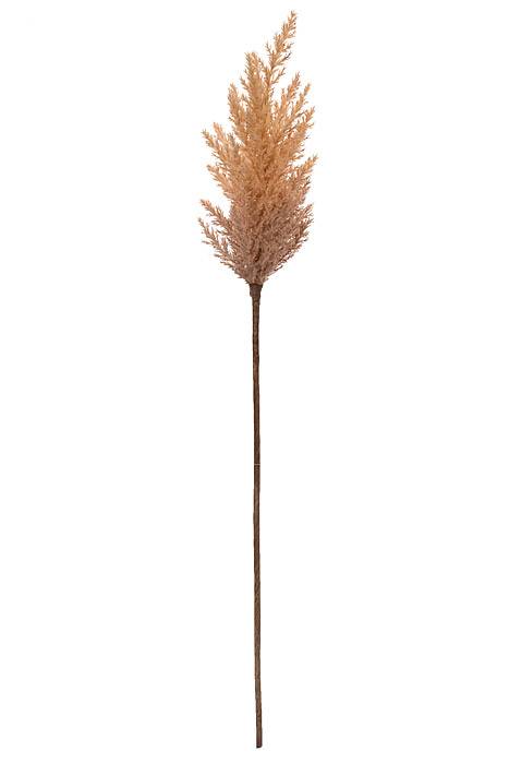 35.5" Pampas Grass Spray Brown