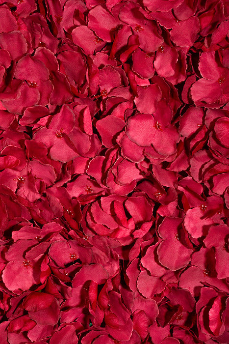 16" x 24" Wisteria Mat Wine