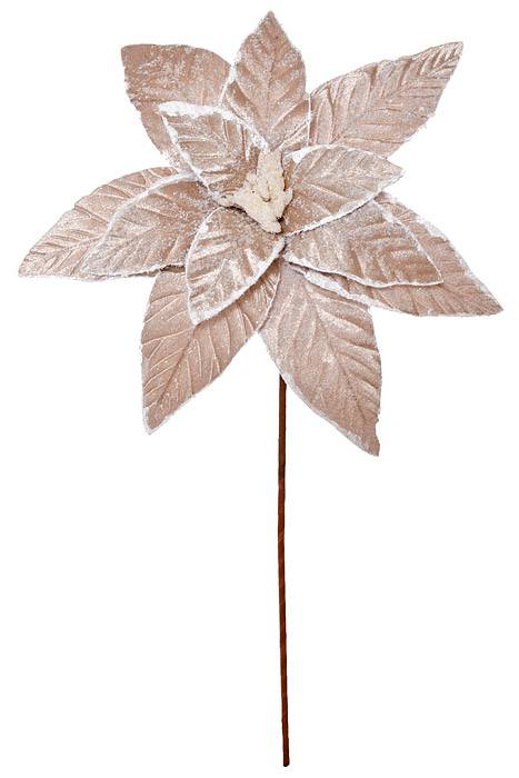 22" Sugar Poinsettia Stem Platinum