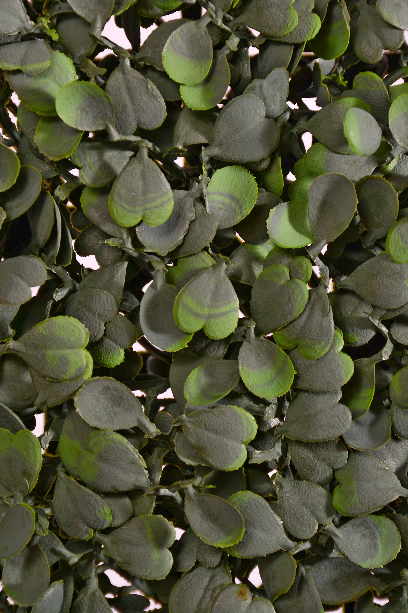 19.5" Artificial Square Fire-Resistant Boxwood Mat Green